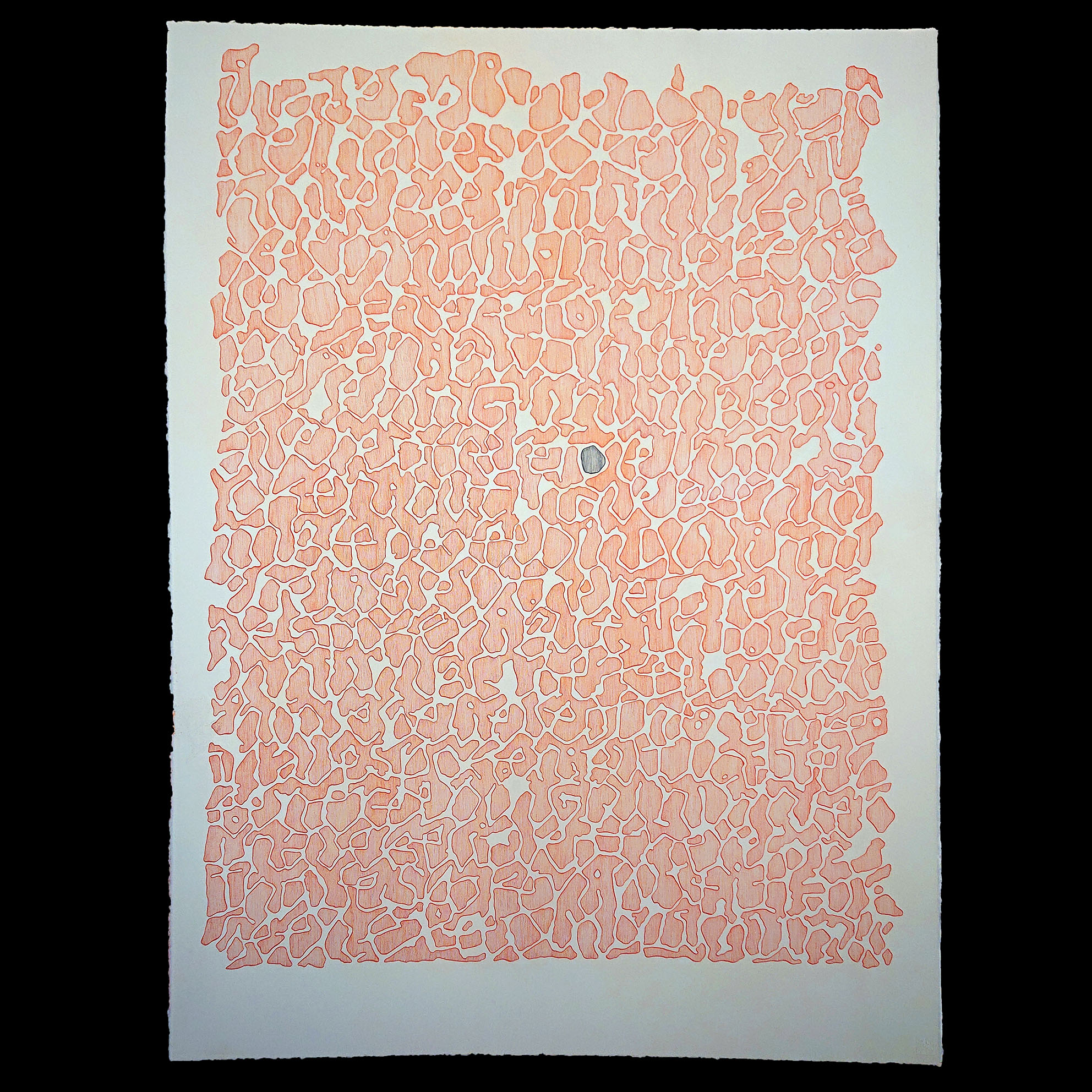 Insta_I-have-believed_orange_skravert_squareDSC_3633